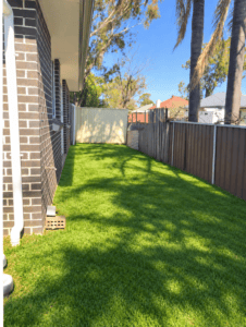 backyard with grass new cg